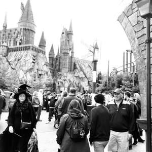 Meet your Posher, Janet